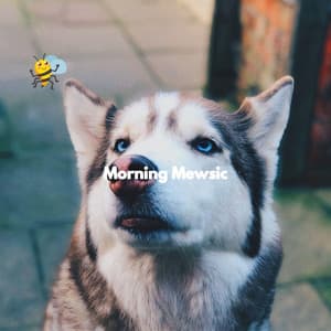 Morning Mewsic - Jazz for Dogs