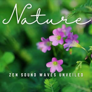 Meditation Dreams: Echoes of Mindful Tranquility - Calm Meditation Therapy