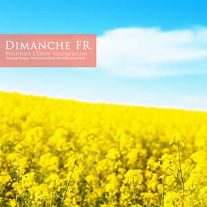 Soft Classical Music That Helps Deep Sleep - Dimanche FR