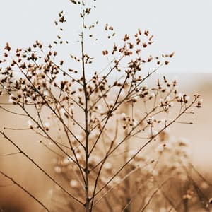 Spa Music - 50 Songs for Yoga and Spa - White Noise Baby Sleep