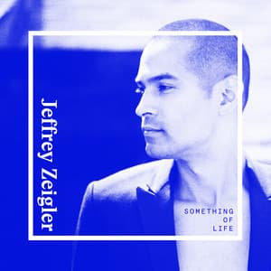 Something of Life - Jeffrey Zeigler