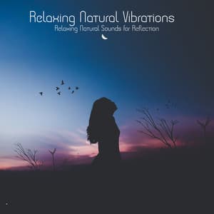 Relaxing Natural Vibrations - Relaxing Natural Sounds for Reflection