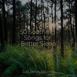 50 Soothing Songs for Better Sleep - Meditation
