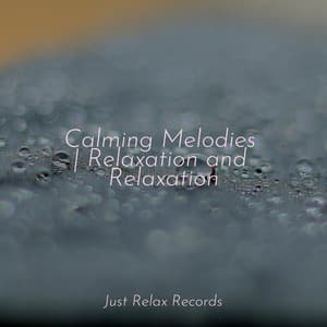 Calming Melodies | Relaxation and Relaxation - Guided Meditation