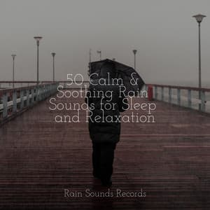 50 Calm & Soothing Rain Sounds for Sleep and Relaxation - Sons da Natureza