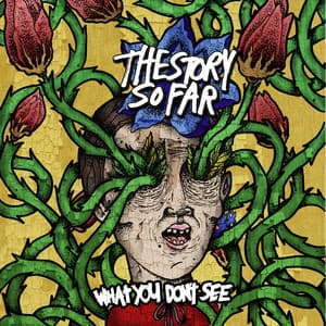 What You Don't See - The Story So Far