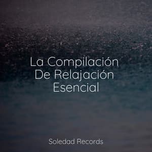 La Compilación De Relajación Esencial - Natureza