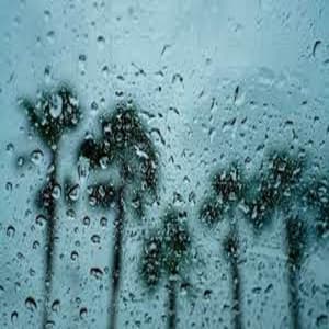 Best Rain Sounds - Mother Nature FX