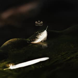 Dreamtime Light Return - Native American Music Consort