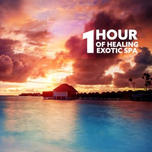 1 Hour of Healing Exotic Spa: Massage Music for Relaxation and Well-Being - Sound Therapy Masters