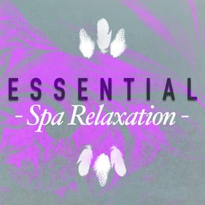 Essential Spa Relaxation - Spa Music Collection