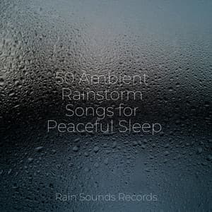 50 Ambient Rainstorm Songs for Peaceful Sleep - Forest Sounds