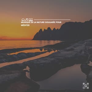 Musique De La Nature Soulagée Pour Méditer - Musique Coeur de la Nature