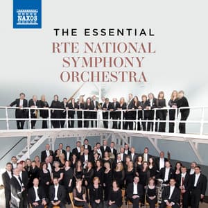 The Essential RTÉ National Symphony Orchestra - RTÉ National Symphony Orchestra