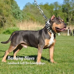 Barking Blues: Laidback Lofi for Lonely Dogs - Lofis