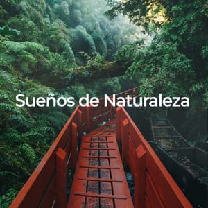Sueños de Naturaleza: Relajación y Descanso - Fabricantes De Lluvia