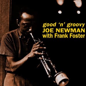 Good 'N' Groovy - Joe Newman