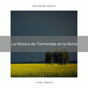 1 La Música de Tormentas en la Selva - Academia de Música con Sonidos de la Naturaleza