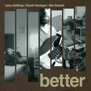 Better - Larry Goldings