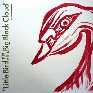 Little Bird Flies into a Big Black Cloud - The Microphones