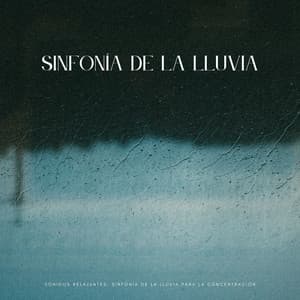 Sonidos Relajantes: Sinfonía De La Lluvia Para La Concentración - Sonidos de lluvia de concentración