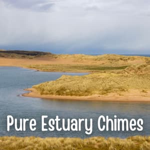 Pure Estuary Chimes - Wonderful Escape