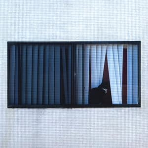 I Created The Universe So That Life Could Create a Language So Complex, Just To Say How Much I Love You - Sega Bodega