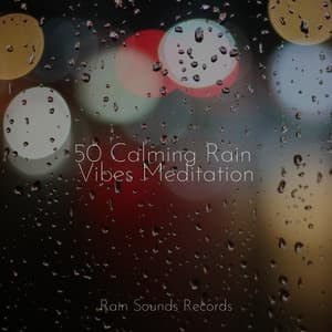 50 Calming Rain Vibes Meditation - Yoga Sounds