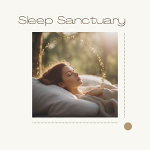 Sleep Sanctuary: Deep Delta Waves and Binaural Beats for Relaxing Meditation - Chakra Meditation Specialists