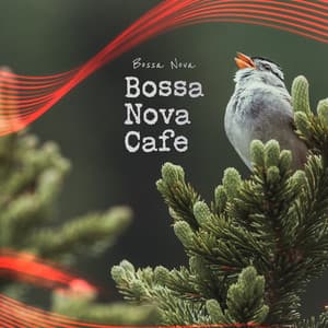 Bossa Nova Cafe - Bossa Nova