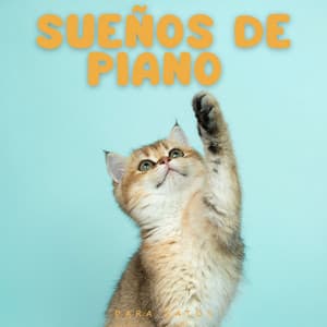 Sueños De Piano Para Gatos - Piano para gatos