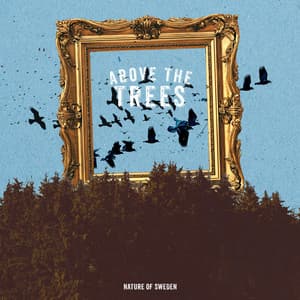 Above the Trees - Nature Of Sweden