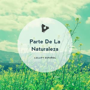 Parte De La Naturaleza - Lullify Español