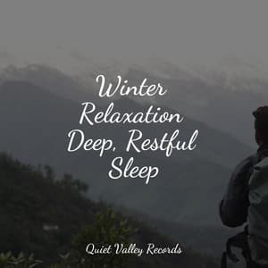 Winter Relaxation Deep, Restful Sleep - Nature Sounds Collection