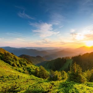 Descanso Tranquilo: Armonías Para La Relajación - La D pacífica