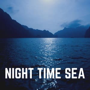 Night Time Sea - Ocean Sounds