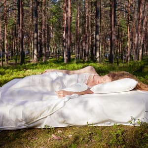 Nature Sleepscape: Bird Song Dreams by the Riverside - Nature Sounds Research