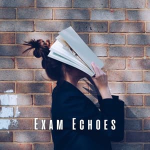 Exam Echoes: Piano Study Tracks - Exam Study Classical Music