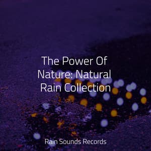 The Power Of Nature: Natural Rain Collection - Lightning, Thunder and Rain Storm