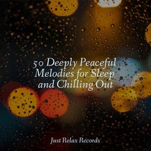 50 Deeply Peaceful Melodies for Sleep and Chilling Out - Rising Higher Meditation