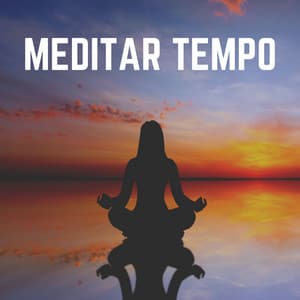 Meditar Tempo - Templo Tibetano da Meditação de Buddha