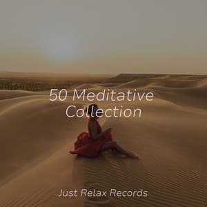 50 Meditative Collection - Dog Music