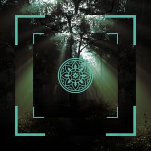 Canciones de yoga relajantes - Dormir Sol