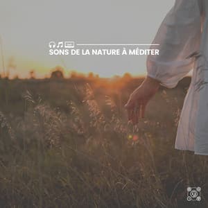 Sons de La nature à méditer - Sons de la nature