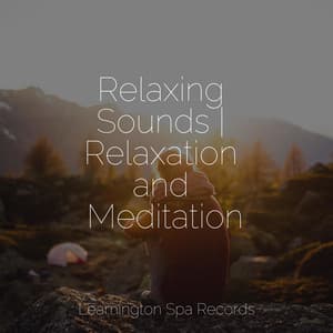 Relaxing Sounds | Relaxation and Meditation - Winds and Oceans
