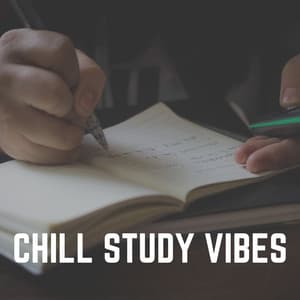 Chill Study Vibes - Study Music & Sounds