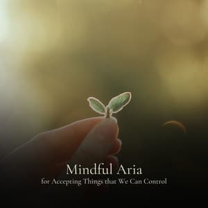 * Mindful Aria for Accepting Things that We Can Control * - Deep Sleep Systems