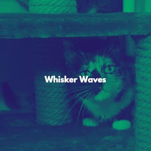 Whisker Waves - Sleepy Cat