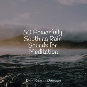 50 Powerfully Soothing Rain Sounds for Meditation - Spa & Spa