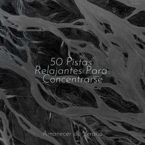50 Pistas Relajantes Para Concentrarse - Sons da Natureza